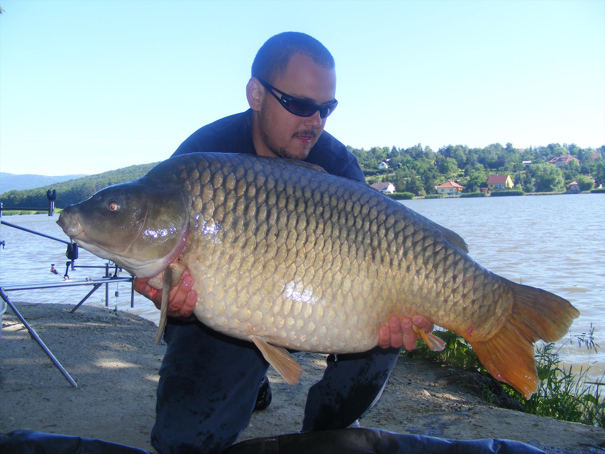 Harsanyi 2013 - dscf6322.JPG